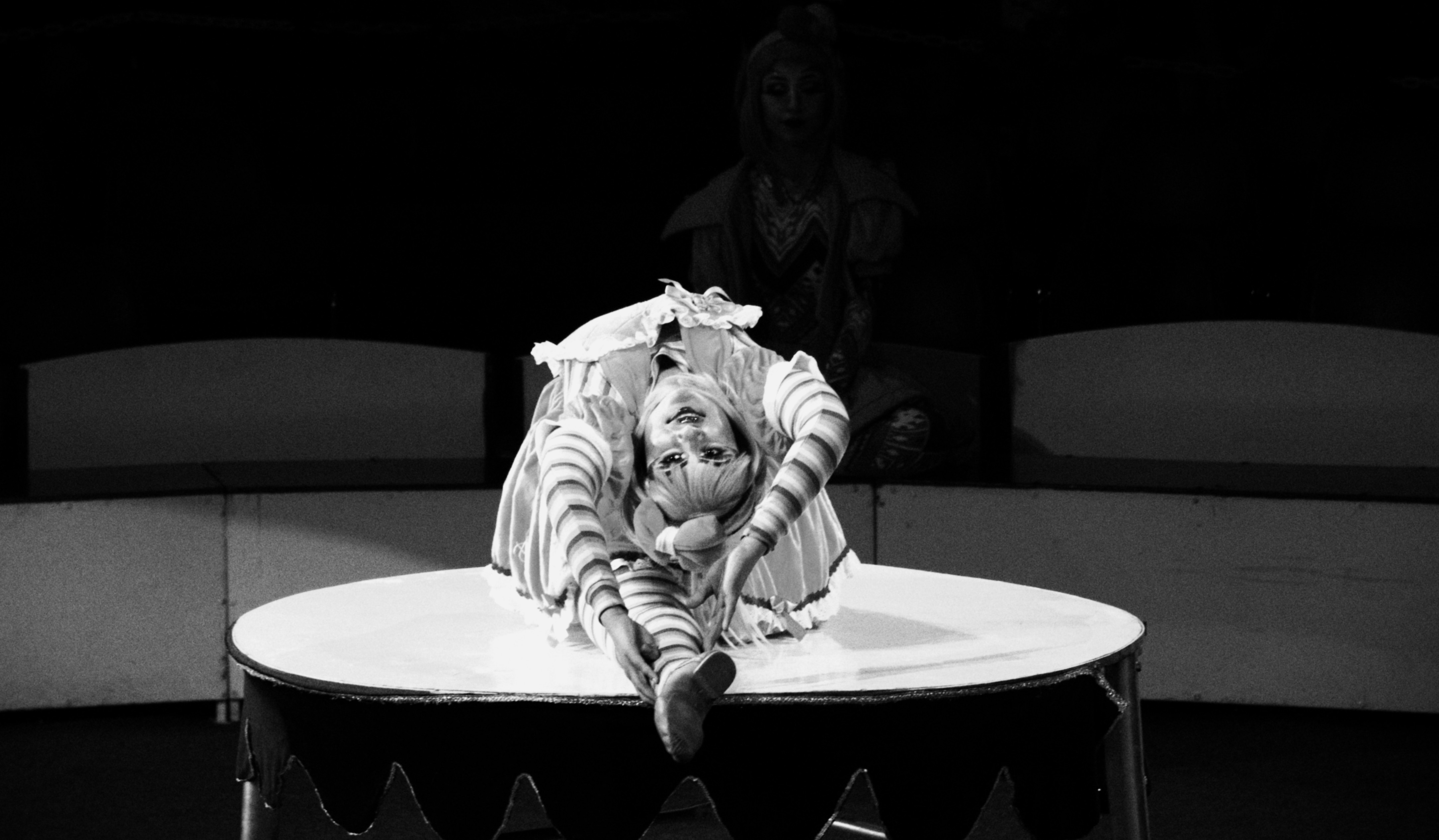 Contortionist folded on a circus table, face upturned to camera